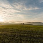 landscape, spacious, field-2211587.jpg